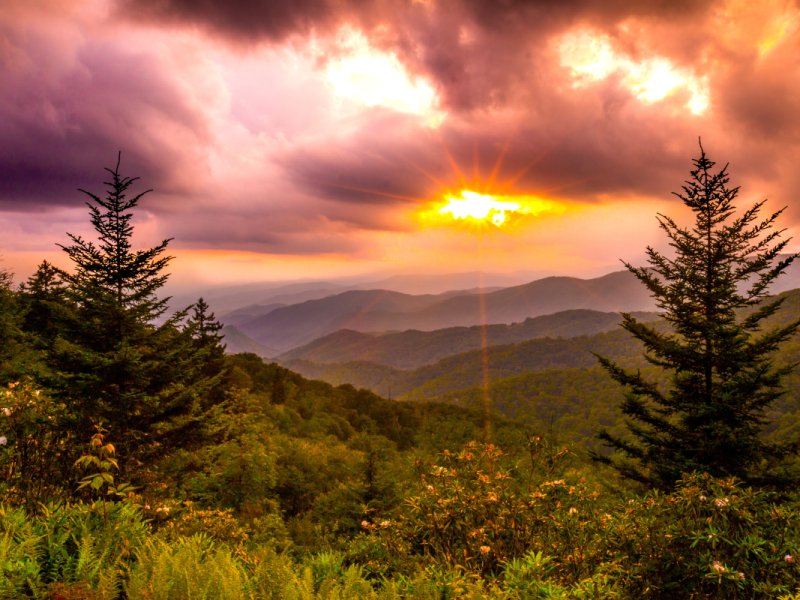 download_6__fa798af1-50b6-4dd9-9ffc-1baf7b04e3f5